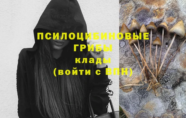 молекула духа Россошь