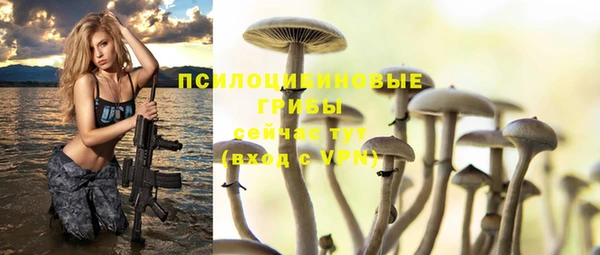 mdpv Балабаново